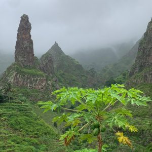 Imagem WhatsApp 2025-10-01 às 09.40.28_4cab8d81