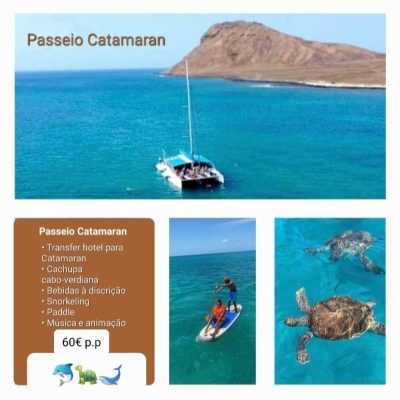 Imagem WhatsApp 2025-11-28 às 20.01.41_e3a7c5d8